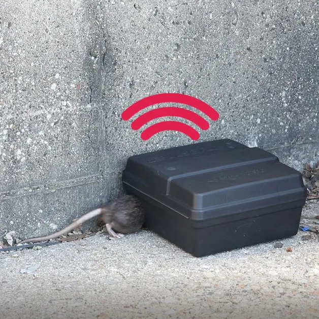 Portacebos con sensor instalado por un técnico de control de plagas | Tienda Abansol